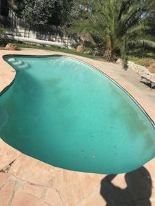 Pool Services